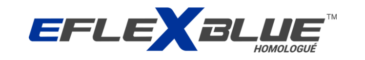 logo_eflexblue